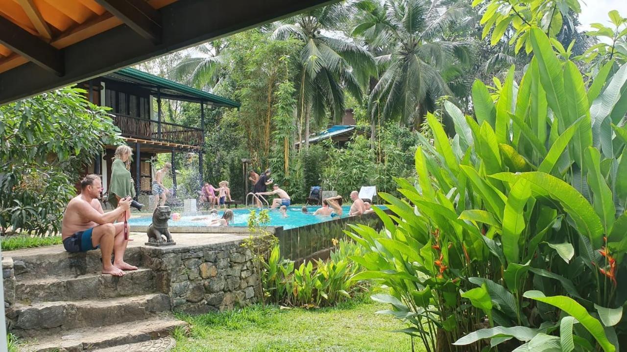 Dombagoda Explore Sinharaja Rain Forest Tour Camp מראה חיצוני תמונה