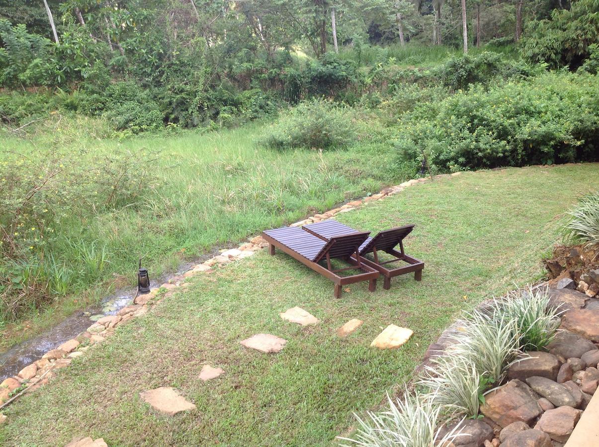 Dombagoda Explore Sinharaja Rain Forest Tour Camp מראה חיצוני תמונה