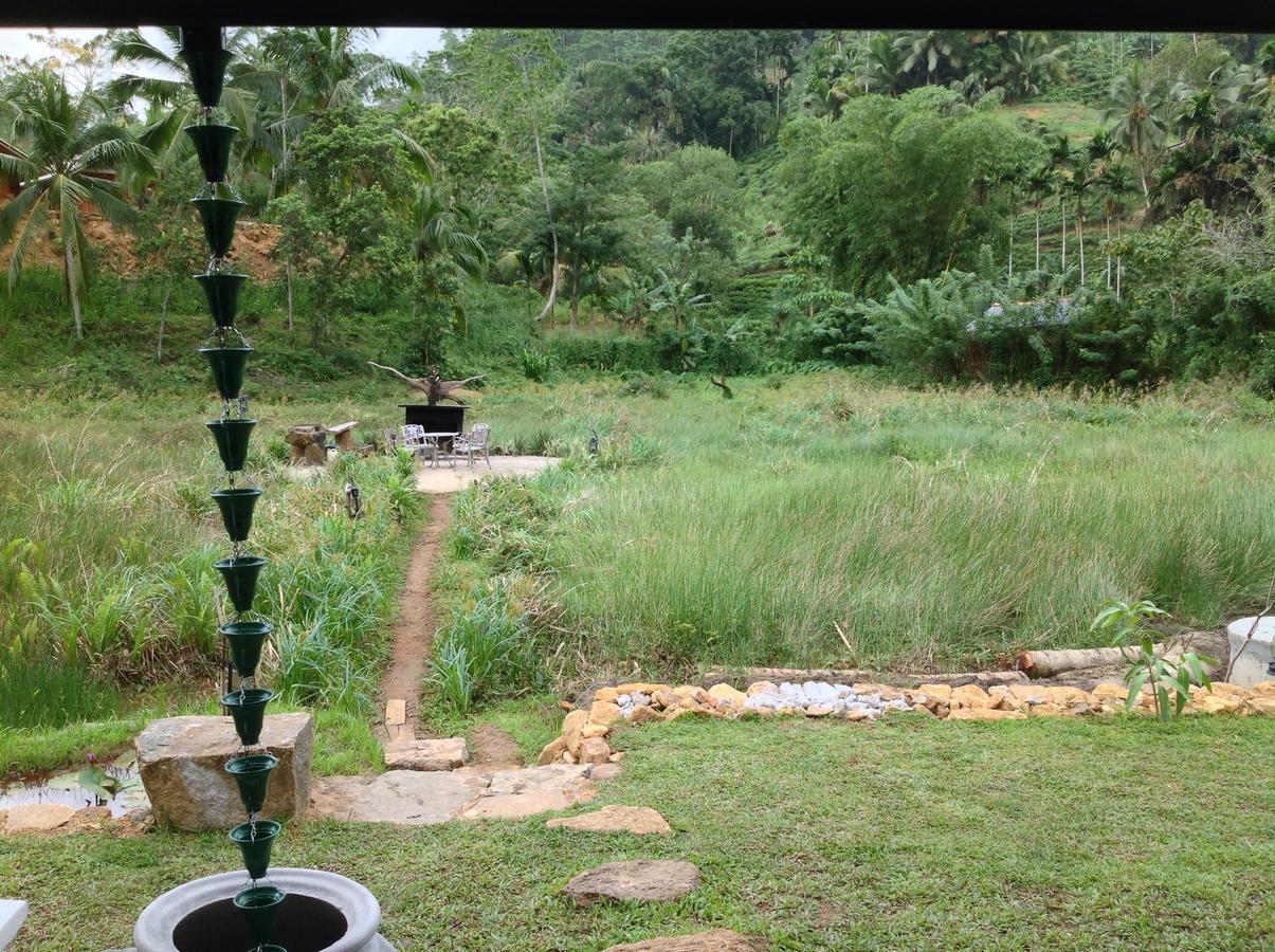 Dombagoda Explore Sinharaja Rain Forest Tour Camp מראה חיצוני תמונה