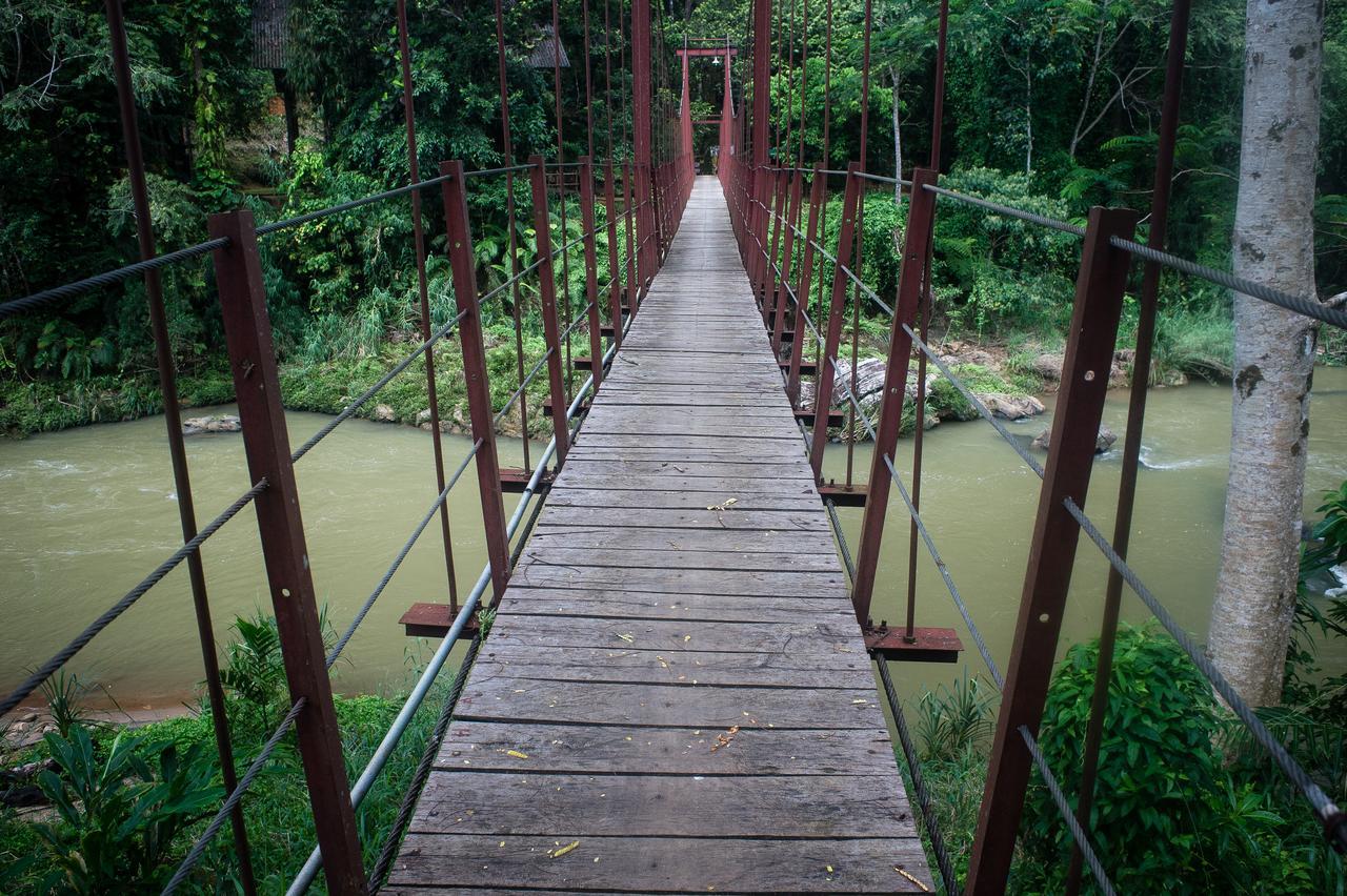 Dombagoda Explore Sinharaja Rain Forest Tour Camp מראה חיצוני תמונה