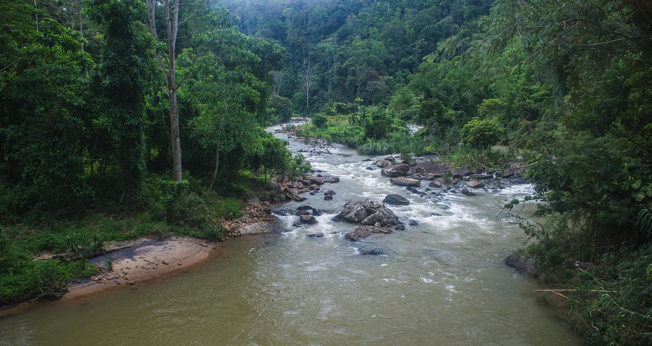 Dombagoda Explore Sinharaja Rain Forest Tour Camp מראה חיצוני תמונה