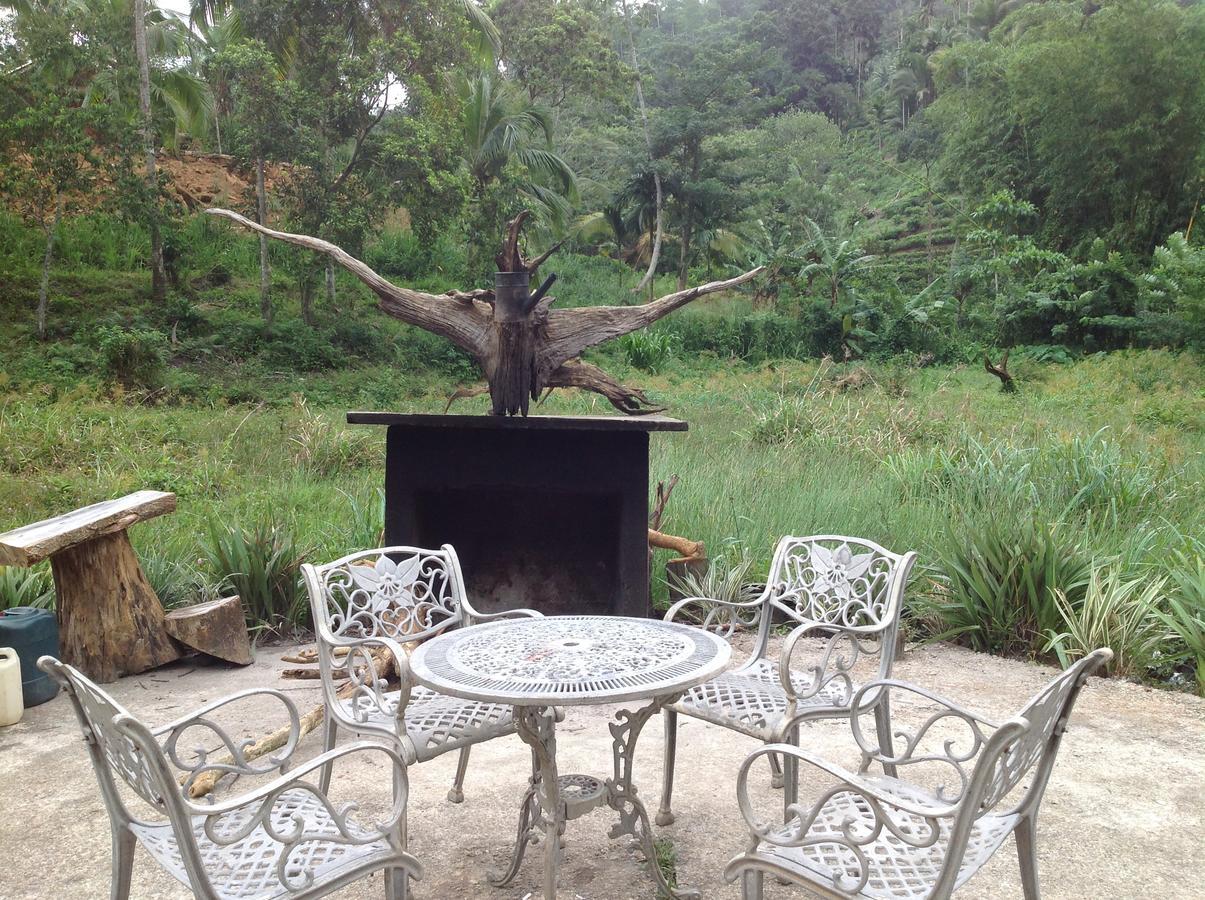 Dombagoda Explore Sinharaja Rain Forest Tour Camp מראה חיצוני תמונה