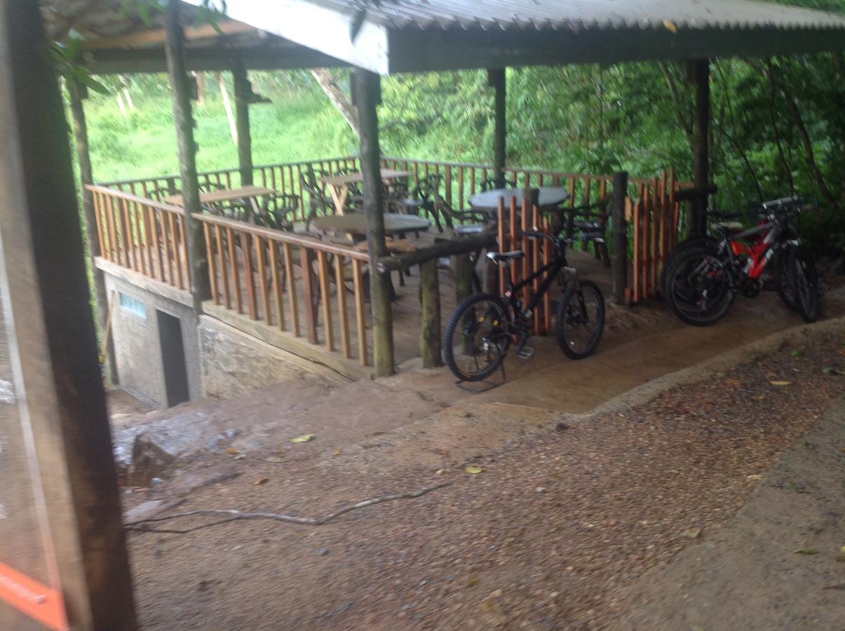 Dombagoda Explore Sinharaja Rain Forest Tour Camp מראה חיצוני תמונה