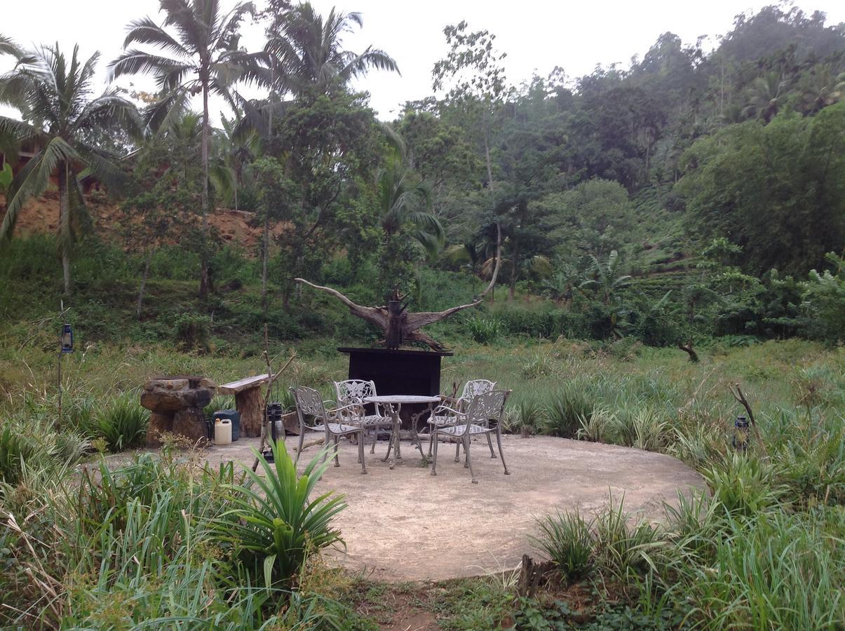 Dombagoda Explore Sinharaja Rain Forest Tour Camp מראה חיצוני תמונה