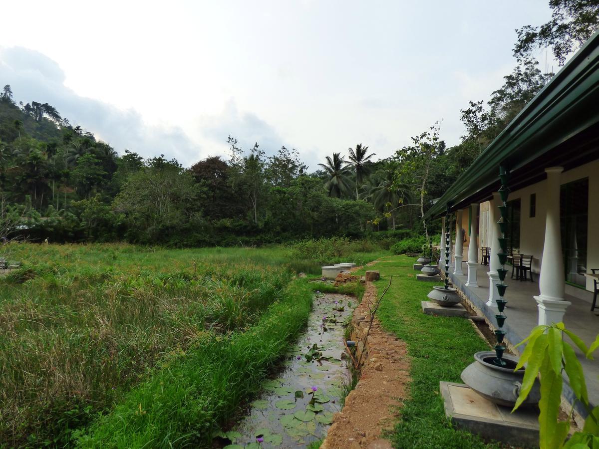 Dombagoda Explore Sinharaja Rain Forest Tour Camp מראה חיצוני תמונה