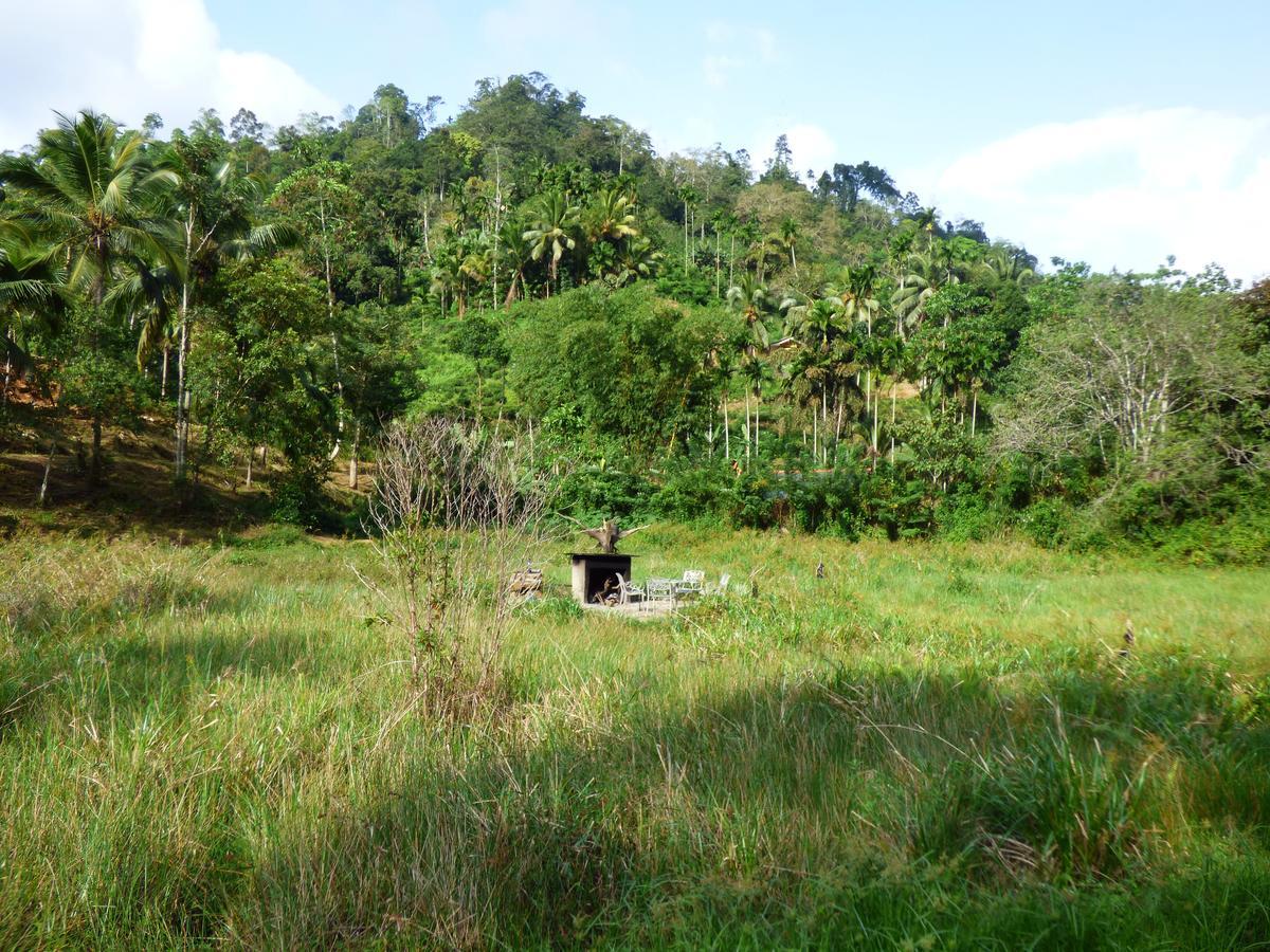 Dombagoda Explore Sinharaja Rain Forest Tour Camp מראה חיצוני תמונה