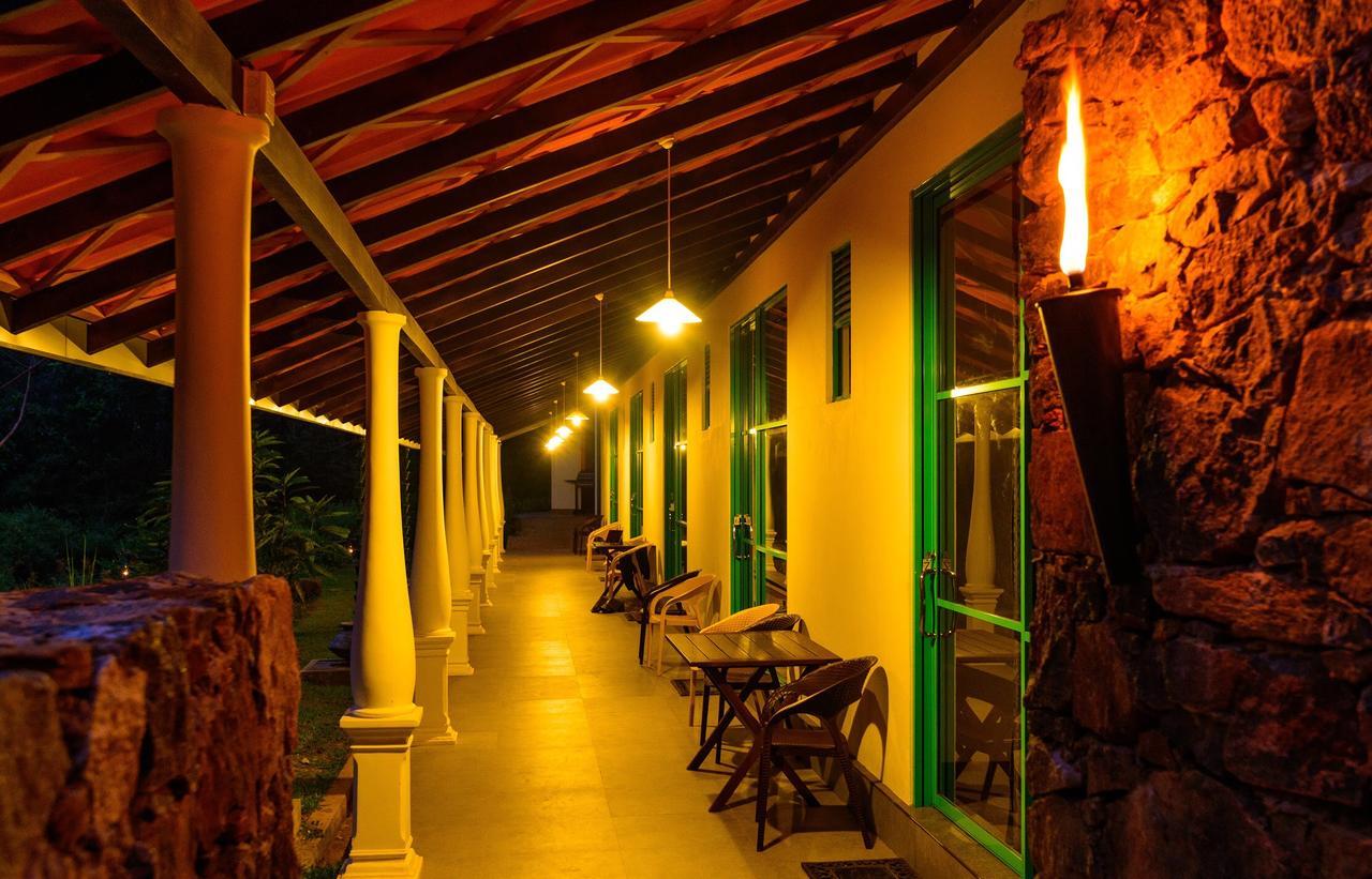 Dombagoda Explore Sinharaja Rain Forest Tour Camp מראה חיצוני תמונה