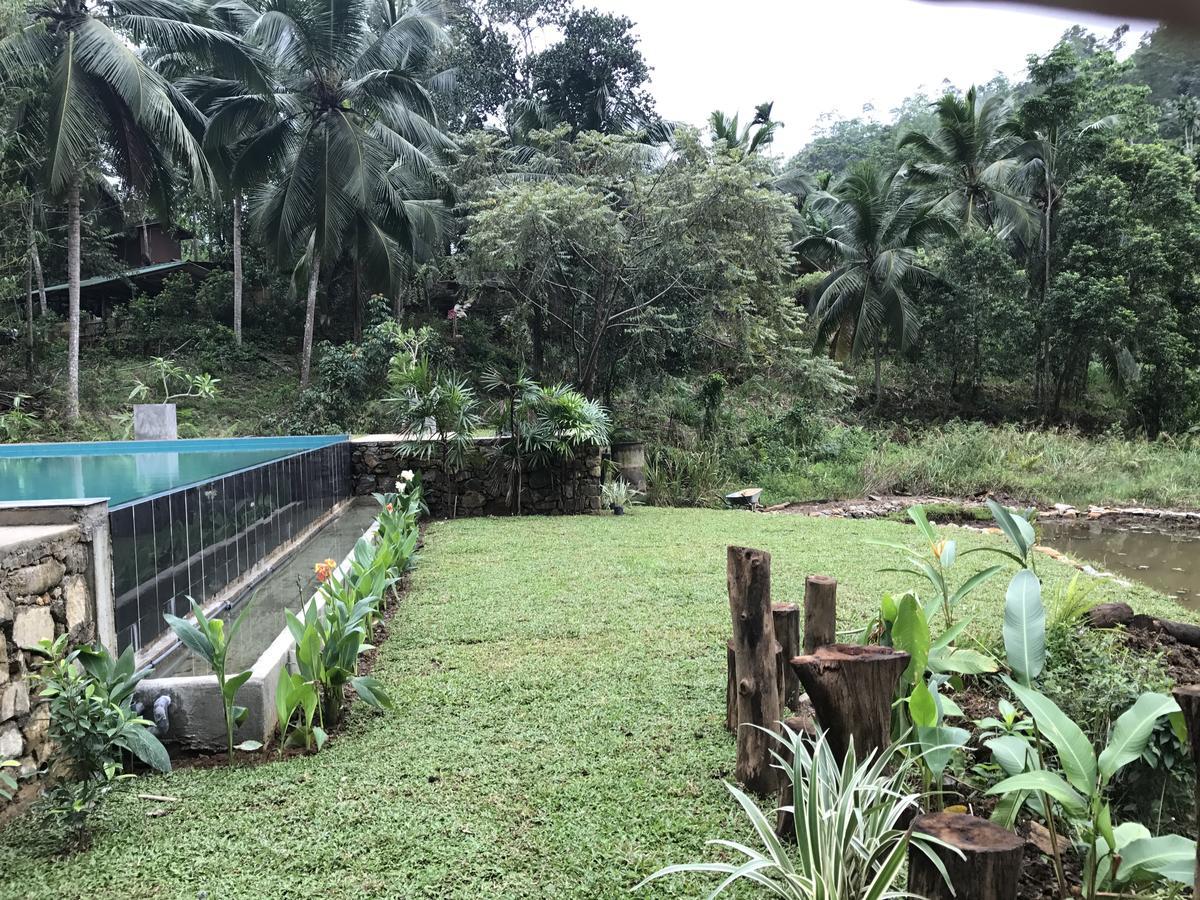 Dombagoda Explore Sinharaja Rain Forest Tour Camp מראה חיצוני תמונה