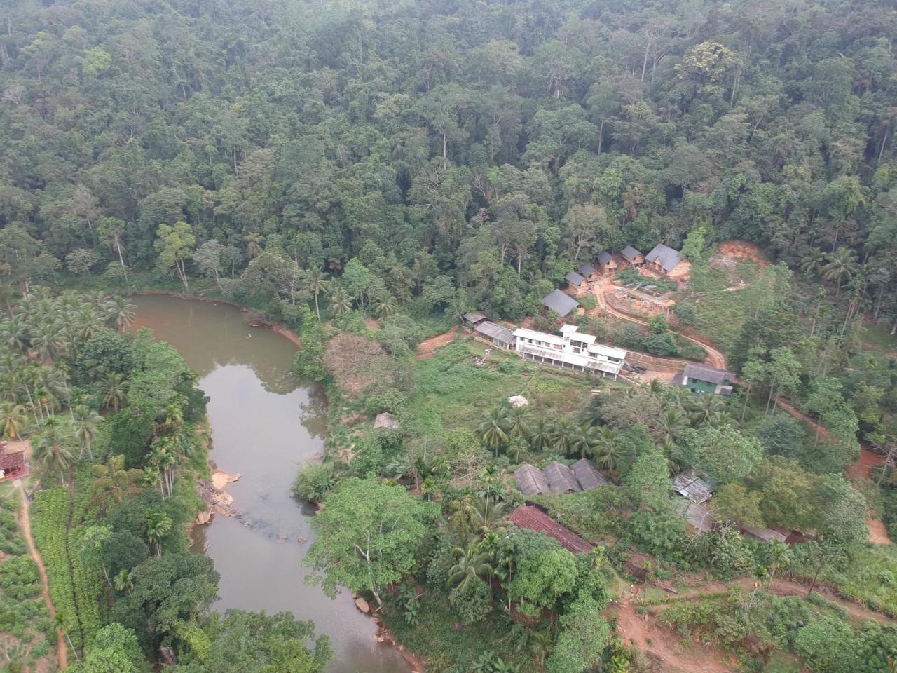 Dombagoda Explore Sinharaja Rain Forest Tour Camp מראה חיצוני תמונה