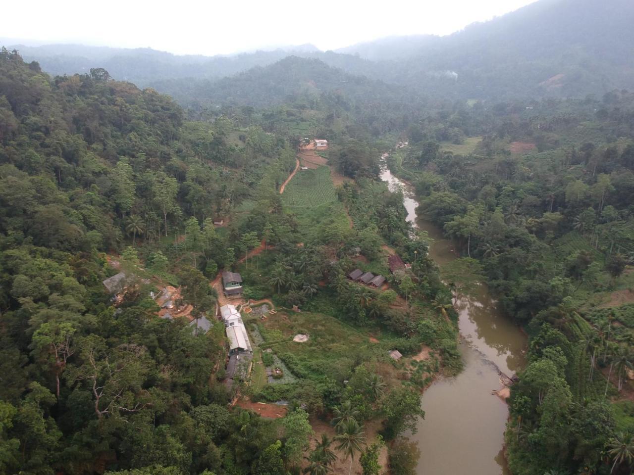 Dombagoda Explore Sinharaja Rain Forest Tour Camp מראה חיצוני תמונה